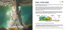 Load image into Gallery viewer, Biomitos: La diversidad de la vida como nunca la habías visto
