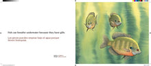 Load image into Gallery viewer, About Fish / Sobre los peces: A Guide for Children / Una guía para niños (Bilingual Edition)