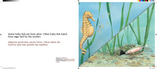 Load image into Gallery viewer, About Fish / Sobre los peces: A Guide for Children / Una guía para niños (Bilingual Edition)