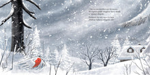 Load image into Gallery viewer, Corazón de invierno