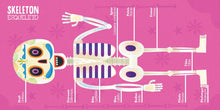 Load image into Gallery viewer, My First 100 Día de Muertos Words in English and Spanish