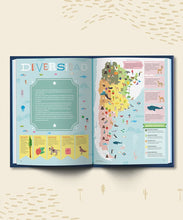 Load image into Gallery viewer, Hola, Argentina