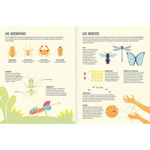 Load image into Gallery viewer, Insectopedia