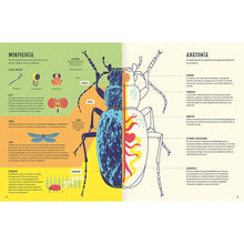 Load image into Gallery viewer, Insectopedia