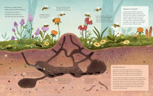 Load image into Gallery viewer, Plantas que hablan, animales que cantan