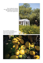 Load image into Gallery viewer, Radical Señora Era