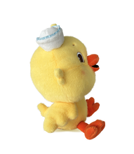 Load image into Gallery viewer, Los Pollitos Accordion Bilingual Book and Kiki, Ricky & Nicky Bundle