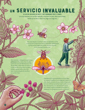 Load image into Gallery viewer, Vida: Las asombrosas maravillas de la biodiversidad