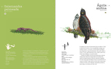 Load image into Gallery viewer, Vida y costumbres de los animales de la Amazonía