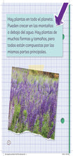 Load image into Gallery viewer, Ada Magnífica, científica investiga: ¡Todo sobre las plantas!