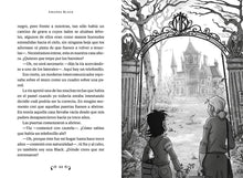 Load image into Gallery viewer, Amanda Black 1: Una herencia peligrosa