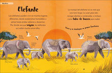 Load image into Gallery viewer, Mi primer libro de animales
