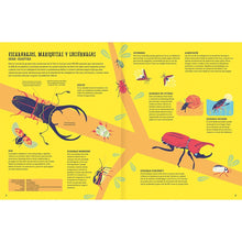 Load image into Gallery viewer, Insectopedia