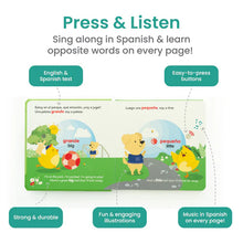 Load image into Gallery viewer, Los opuestos en el parque / Opposites at the Park