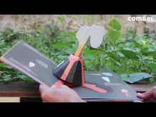 Load and play video in Gallery viewer, Los volcanes