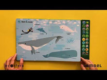 Load and play video in Gallery viewer, Mi imaginario sonoro: La naturaleza y yo