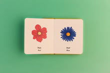 Load image into Gallery viewer, Los Street Vendors: Bilingual Book Set about Shapes, Colors, and Fruits