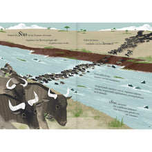 Load image into Gallery viewer, Viajamos tan lejos