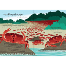 Load image into Gallery viewer, Viajamos tan lejos