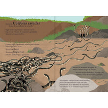 Load image into Gallery viewer, Viajamos tan lejos