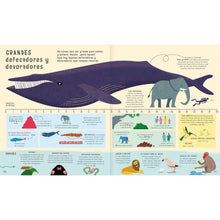 Load image into Gallery viewer, El libro de las comparaciones