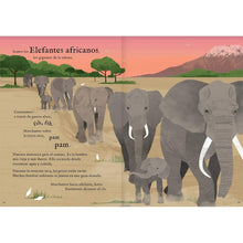 Load image into Gallery viewer, Viajamos tan lejos