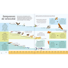 Load image into Gallery viewer, El libro de las comparaciones