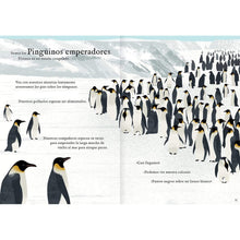 Load image into Gallery viewer, Viajamos tan lejos