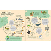 Load image into Gallery viewer, El libro de las comparaciones