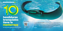 Load image into Gallery viewer, Habitantes del mar del 1 al 10