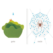Load image into Gallery viewer, Imaginario del agua
