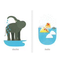 Load image into Gallery viewer, Imaginario del agua