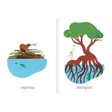 Load image into Gallery viewer, Imaginario del agua
