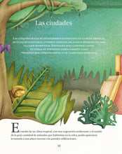 Load image into Gallery viewer, Mayas: Los indígenas de Mesoamérica III