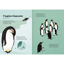 Load image into Gallery viewer, Nacer