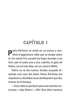Load image into Gallery viewer, Pedro Perfecto y la Mansión Misteriosa / Iggy Peck and the Mysterious Mansion (Spanish Edition)