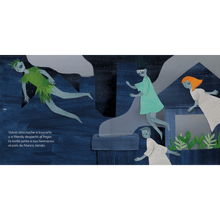 Load image into Gallery viewer, Peter Pan