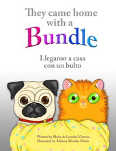 Load image into Gallery viewer, Llegaron a casa con un bulto / They Came Home with a Bundle