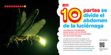 Load image into Gallery viewer, Bichos del 1 al 10