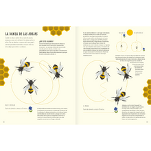 Load image into Gallery viewer, El mundo de las abejas