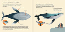 Load image into Gallery viewer, La ballena jorobada