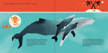 Load image into Gallery viewer, La ballena jorobada