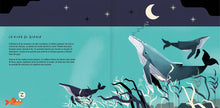Load image into Gallery viewer, La ballena jorobada