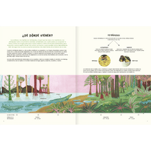 Load image into Gallery viewer, Agua y tierra, anfibios y reptiles de América