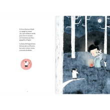 Load image into Gallery viewer, La Cenicienta