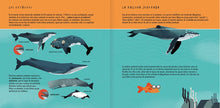 Load image into Gallery viewer, La ballena jorobada