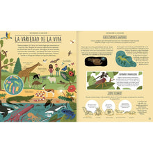 Load image into Gallery viewer, Increíble evolución