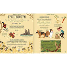 Load image into Gallery viewer, Increíble evolución
