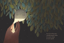 Load image into Gallery viewer, Noche antigua