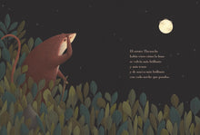 Load image into Gallery viewer, Noche antigua